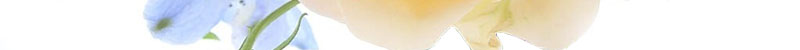 banner_bune - Glimmengaard - Blomster, brugskunst og kurser